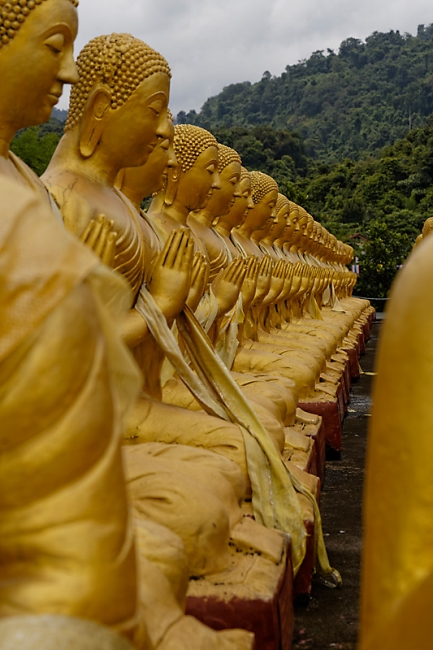 Magha Puja Buddhist Memorial-074